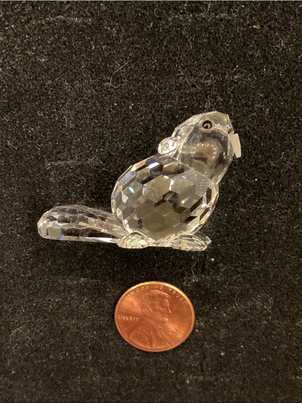 Swarovski Crystal Beaver